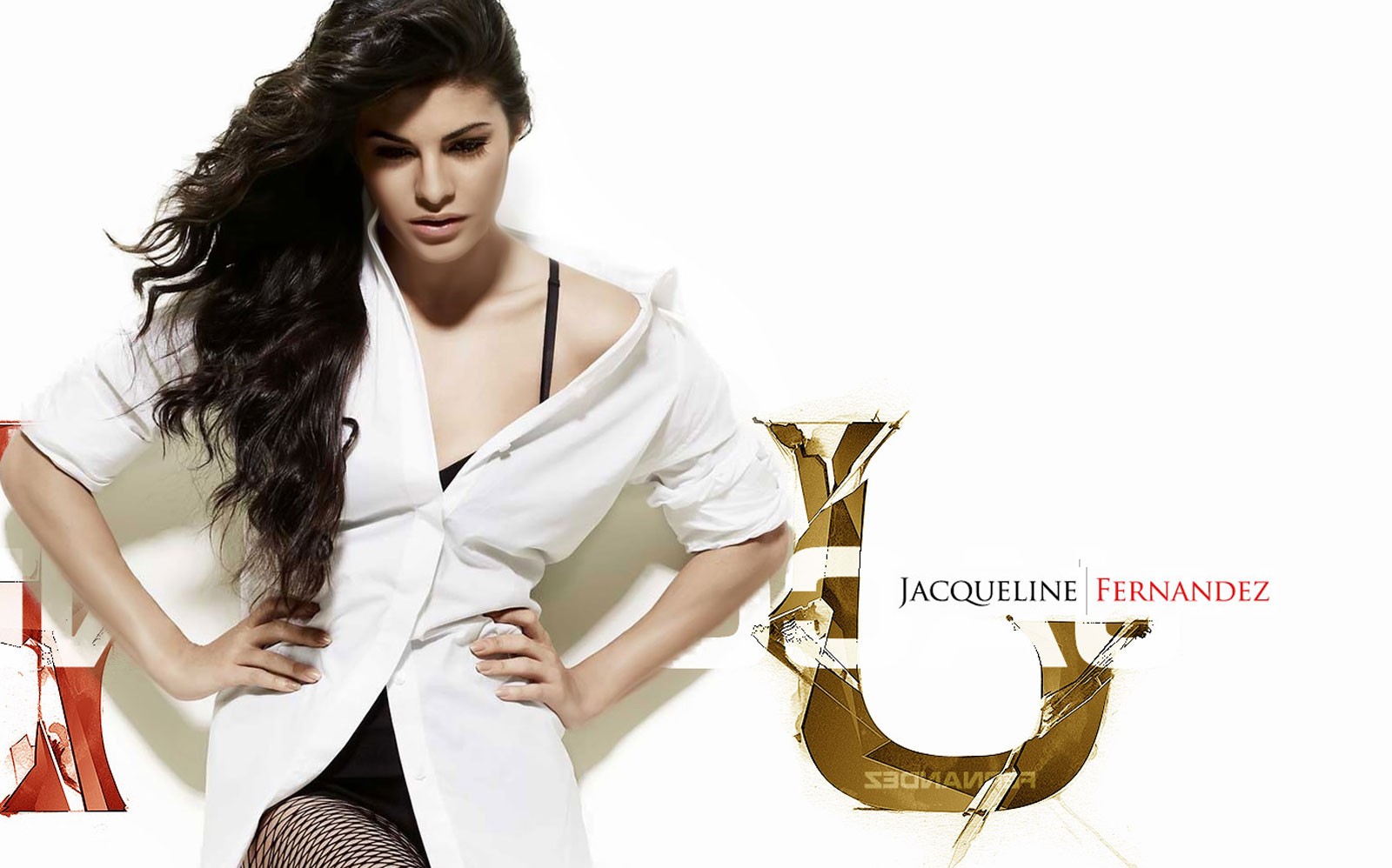 Jacqueline Fernandez, Filmography, Movies, Jacqueline Fernandez News, Videos,  Songs, Images, Box Office, Trailers, Interviews - Bollywood Hungama