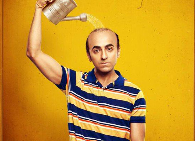 Bala Box Office Collections Ayushmann Khurrana Starrer