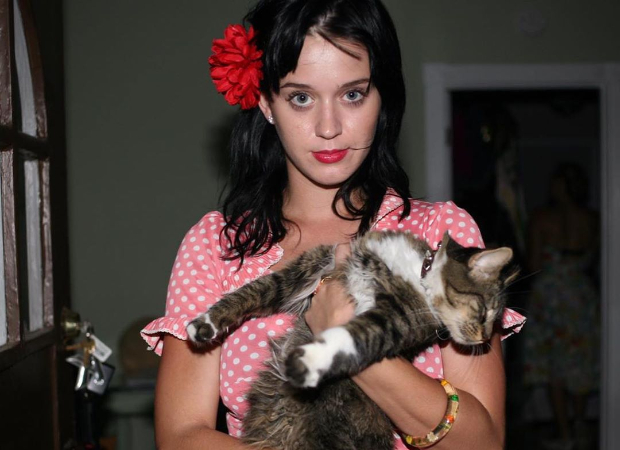 Katy Perry mourns the death of her beloved cat, Kitty Purry