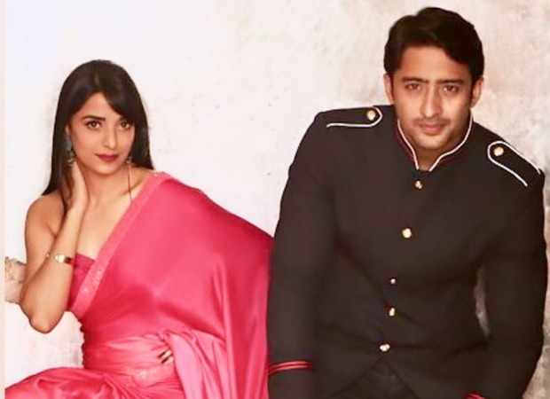 Shaheer Sheikh is all praises for his Mahabharaat co-star Pooja Sharma, says she is a wonderful co-actor