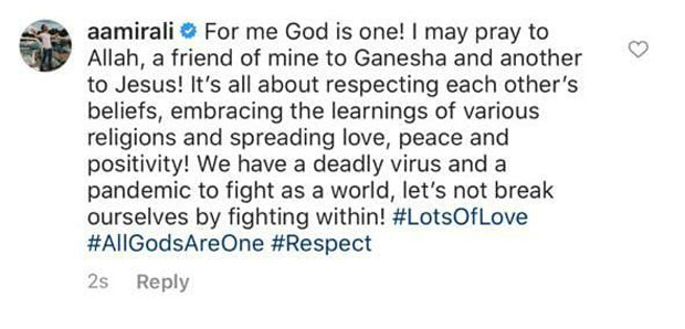 Aamir Ali gives a befitting reply to those that questioned him for celebrating Ganesh Chaturthi