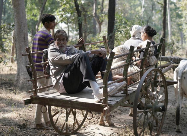 Amitabh Bachchan starrer Jhund receives stay order from Telangana High Court over copyright infringement