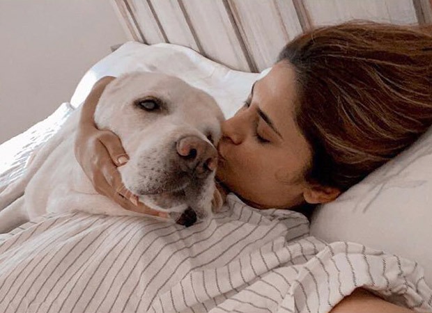 Jennifer Winget wishes her pet pupper, Breeze, on his birthday with the cutest pictures!