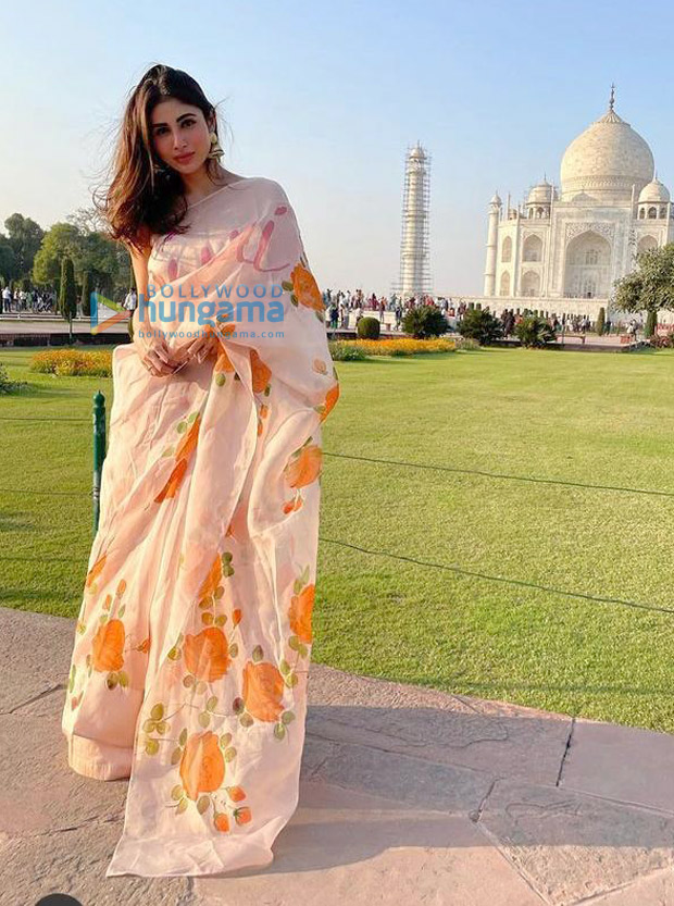 Mouni Roy mesmerises in floral silk organza saree worth Rs. 24,500 at Taj Mahal