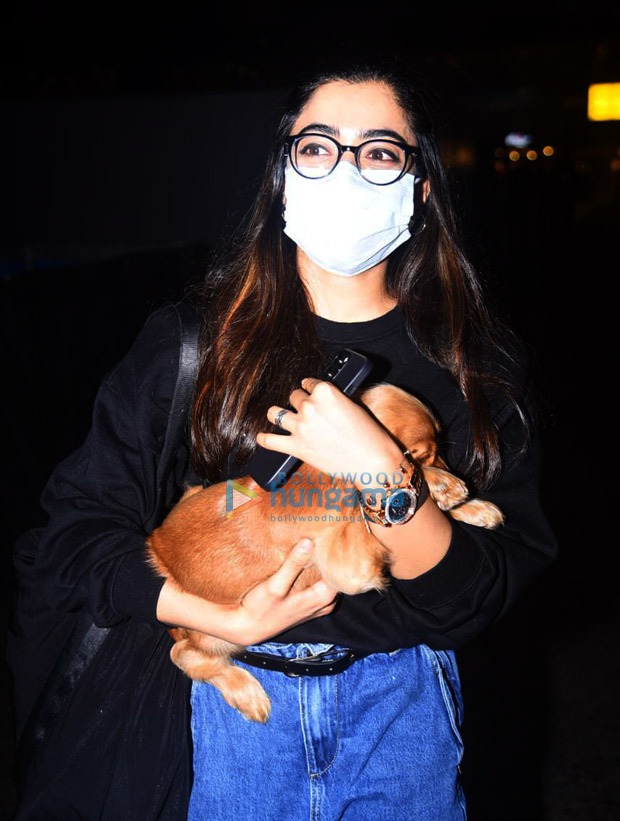 Rashmika Mandanna arrives in Mumbai with her cute pet to resume the shoot of Goodbye 