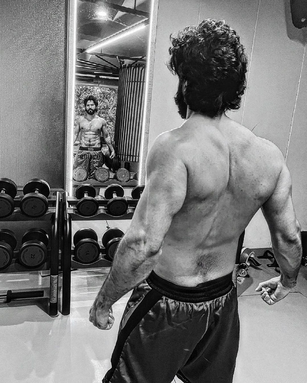 Varun Dhawan gives a glimpse of ripped physique, says 'time to say goodbye to my long hair' as 'Bhediya' shoot nears end