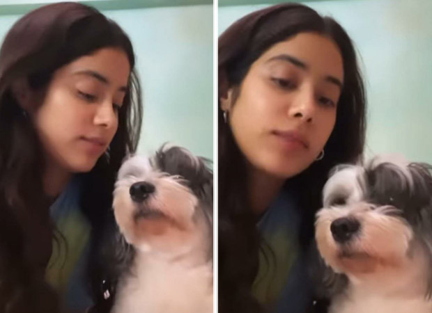 Alia Dog Gal Vidoe Xxx - Janhvi Kapoor shares a goofy video with her pet dog, Panda : Bollywood News  - Bollywood Hungama