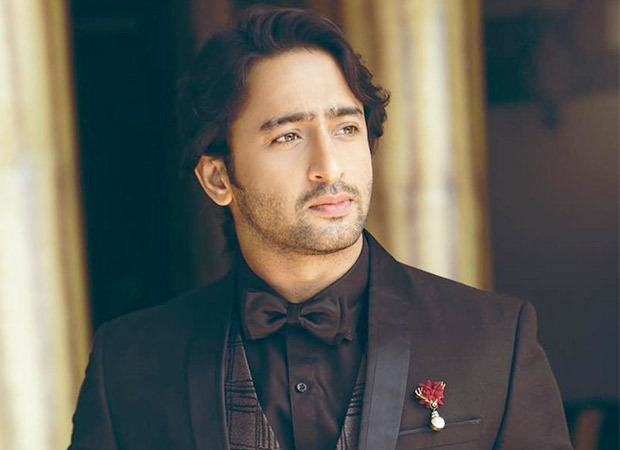 Shaheer Sheikh to play the protagonist in Rajan Shah's next fiction show :  Bollywood News - Bollywood Hungama