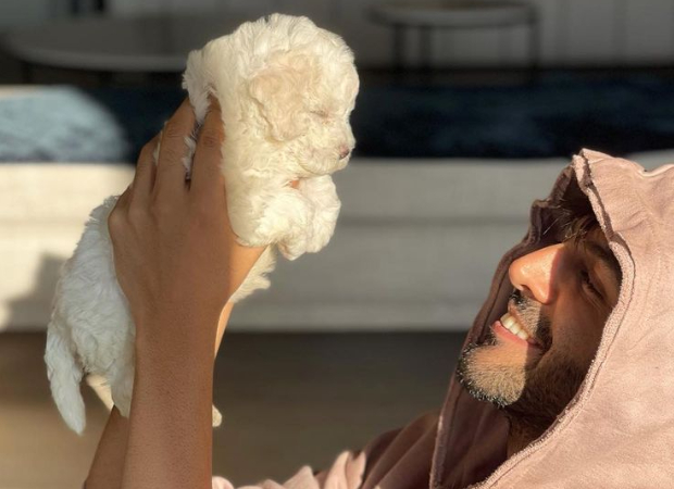 Love is a four-legged wordâ â Kartik Aaryan shares photo with his pup Katori; Shehzada co-star Kriti Sanon comments : Bollywood News - Bollywood Hungama