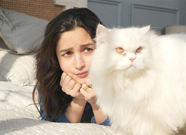 It seems to be a not so happy Sunday for Alia Bhatt; here’s why