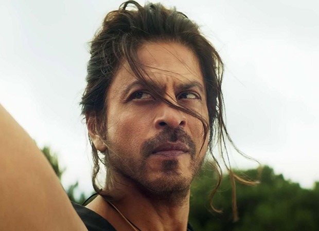 #AskSRK: Shah Rukh Khan fan asks him about his replacement in Bollywood; check out Pathaan star’s boss reply