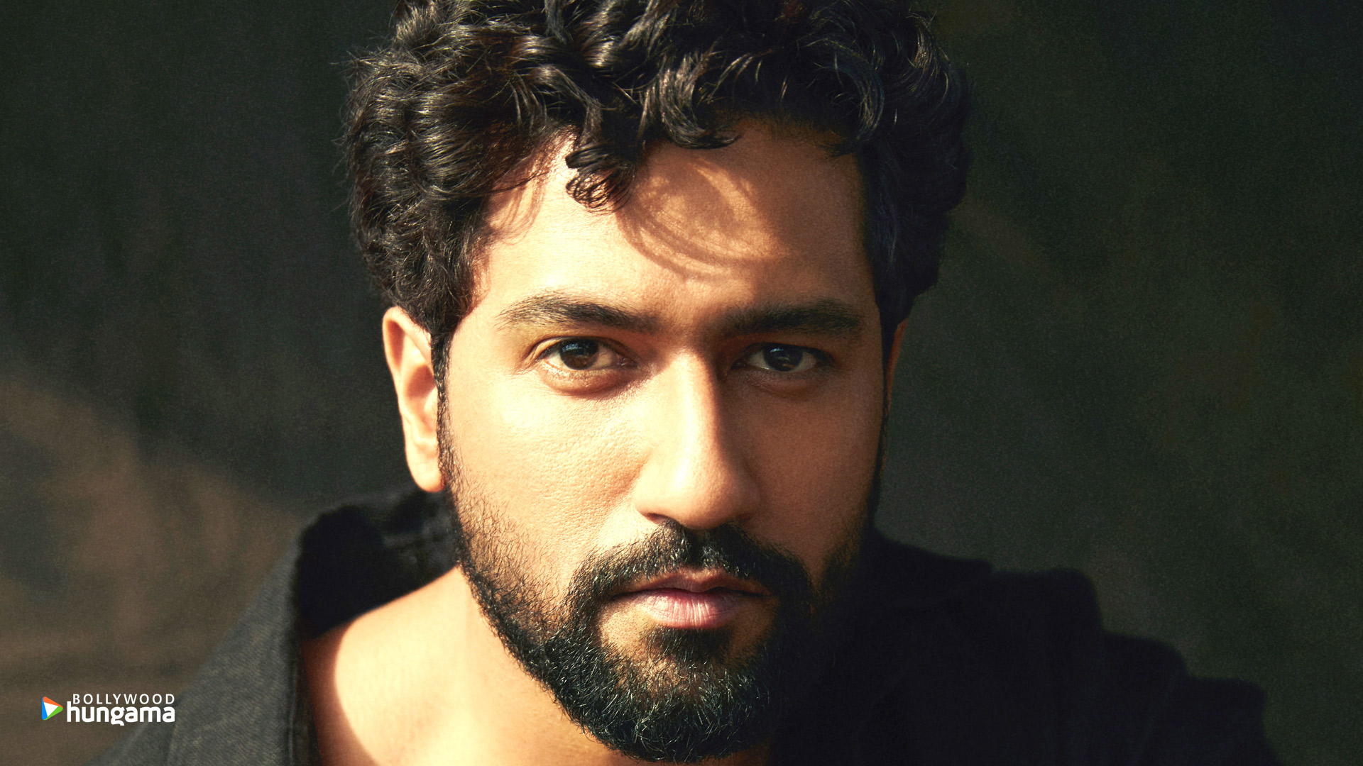 Vicky Kaushal Wallpapers | vicky-kaushal-3-17 - Bollywood Hungama