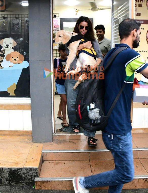 Photos: Triptii Dimri spotted outside pet clinic in Bandra