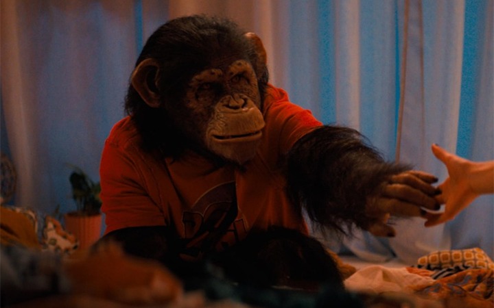 Movie Review: PRIMATE rests on an interesting premise and is peppered with nail-biting moments